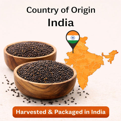 5 lbs SPICY PANTRY Black Mustard Seeds Whole Spice for Curries, Pickles, Marinades, Spice Blends & Tempering Non-GMO