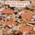 6 Pack 4 oz Apricot, Coconut, Almond Granola Clusters - of Bags - Gluten Free Oats, High Protein, Low Sugar, Vegan