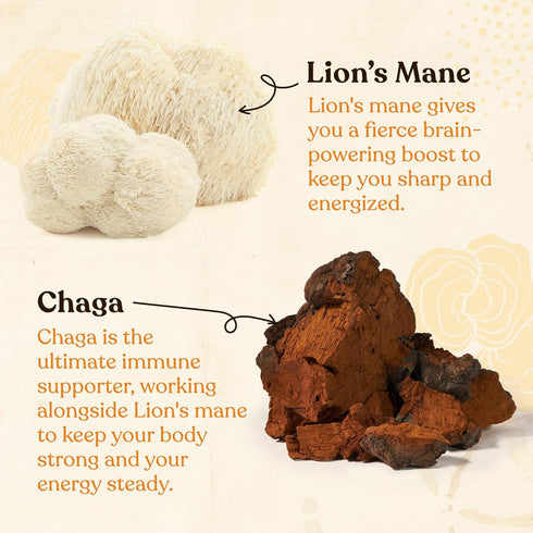 Pack 3 (30 Packets Four Sigmatic Mushroom Mix Coffee Lion's Mane | Focus | of Total)