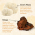 Pack 3 (30 Packets Four Sigmatic Mushroom Mix Coffee Lion's Mane | Focus | of Total)