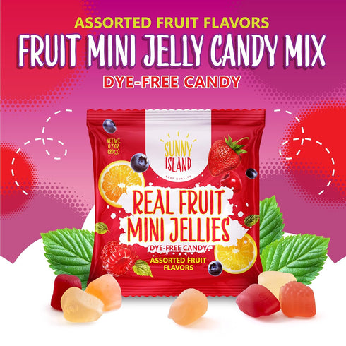24 Packs Gummies Fruit Jelly Candy | | Dye Free Candy Individually Wrapped | Vegan with Real Fruit Puree | Assorted
