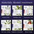 30 Count 6 Mighty Leaf Tea and Company Organic Tea Sampler Silken Tea Bags Assorted Flavors: Earl Grey, Rooibos