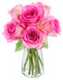 KaBloom - Sweet Pink Bouquet of 6 Fresh Cut Pink Roses (Farm-Fresh,