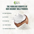 1 Lb True Organic Coconut Milk Powder, | USDA & Kosher | Plant-Based Creamer for Coffee, Tea & Smoothies | Non-GMO