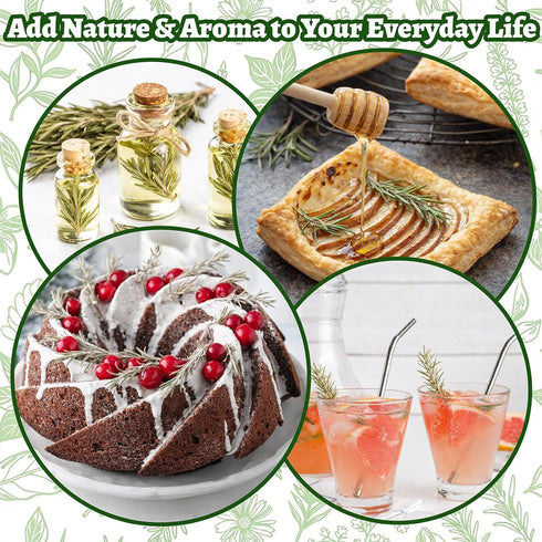 3035PCS 2.5oz 7" Dried Whole Rosemary Sprigs, Natural Spices in Clear-Window Tin, Air-Dried Rosemary for Cooking