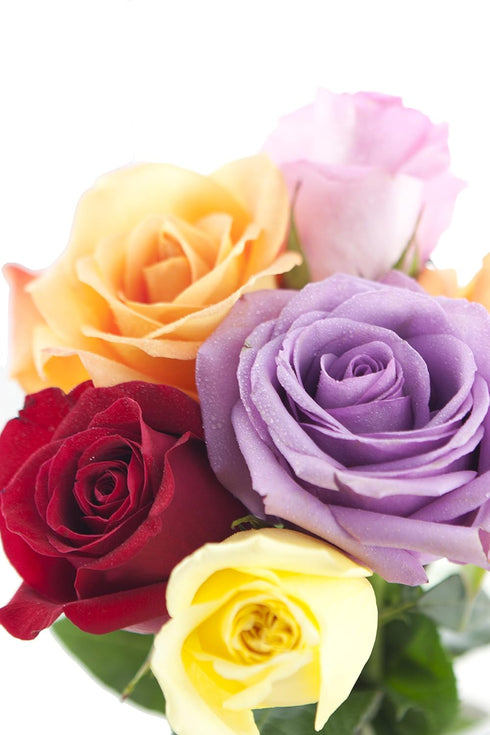 Dozen) KaBloom PRIME NEXT DAY DELIVERY - Rainbow Roses (Half - With Vase .Gift for Birthday, Sympathy, Anniversary, Get