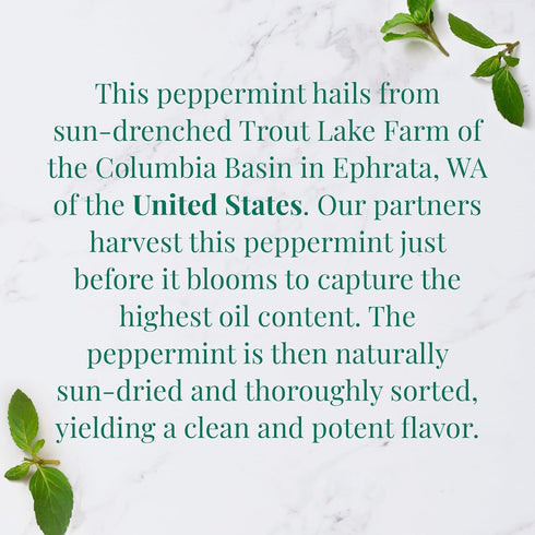 36 The Republic of Tea Organic American Peppermint SuperHerb Tea Tin, Herbal Tea Bags, Naturally Caffeine-Free Herbs