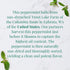 36 The Republic of Tea Organic American Peppermint SuperHerb Tea Tin, Herbal Tea Bags, Naturally Caffeine-Free Herbs
