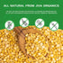 2 Jiva Organic Chana Dal Pound Bag - Non-GMO, Premium, Certified - Split Desi Indian Chickpeas