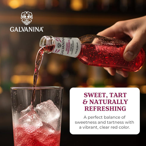 12 oz (Pack 1) Galvanina Pomegranate Premium Organic Italian Sparkling Soda, fl Glass Bottle of | Vibrant, Tart-Sweet