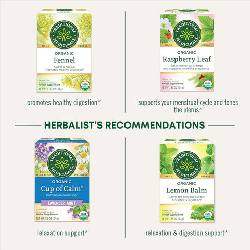 32 Count (Pack 1) Traditional Medicinals Organic Mother's Milk Women's Tea