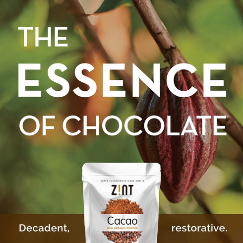 Zint Organic Cacao Powder (8 oz) - Paleo-Certified, Non-GMO, Anti-Aging Antioxidant Superfood, Gluten Free