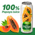 100% 500ml (16.9 Oz), Pack 2 Vinut Pure Papaya Juice, No Sugar Added, Never From Concentrate, Fl
