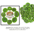 Smarty Stop 5 (Pack 1)) Dried Fruits Great Healthy Snack (Dried Kiwi, Pound