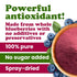 8 100% Food to Live Blueberry Juice Powder, Ounces - Pure, Antioxidant-Rich. Great for Smoothies, Spray-dried, No Sugar