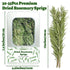 3035PCS 2.5oz 7" Dried Whole Rosemary Sprigs, Natural Spices in Clear-Window Tin, Air-Dried Rosemary for Cooking