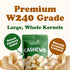 1 W240, Food to Live Cashew Nuts, Pound - Large Size Whole Nuts, Unsalted, Kosher, Raw, Vegan, Bulk
