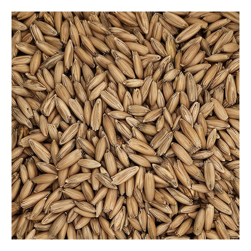 10lb Home Brew Ohio Malted Oats Grain