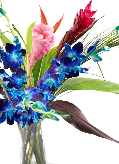 Generic Fresh Orchids and Tropical Flower Bouquet, Perfect for Birthdays, Easter, Mother's Day, Anniversaries, Gifts