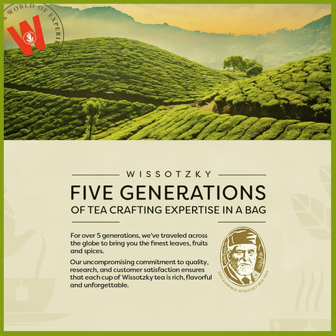 Wissotzky Lemongrass & Verbena Green Tea - 20 Tea Bags | Soothing Aroma | Antioxidant Rich