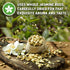 4oz (113g) Sou Zen Jasmine Green Tea Loose Leaf Blend | Premium Quality Tea Leaves and Flowers | Raw with Naturally