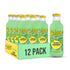 Calypso Lemonade, Kiwi Lemonade, Made with Real Fruit, 16 Fl Oz Glass