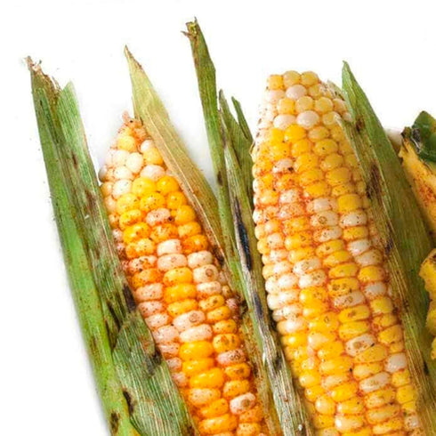 Urban Accents Corn on the Cob Vegetable Seasoning, Chile Lime & Chipotle Parmesan, 2-Pack