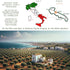 1,000+ 2025 8.5 oz Entimio Intenso Organic Italian Extra Virgin Olive Oil from Italy, mg/kg High in Polyphenols, Gold
