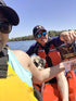 100% 2.2oz (Pack 12) 10g Perky Jerky Sweet and Snappy Grass Fed Beef Jerky, of - Antibiotic Free - Protein Per Serving