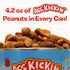 ASS KICKIN' Roasted Spicy Hot Peanuts - 4.25 oz Ultimate Spicy Gourmet Gift Peanuts (Habanero Honey)