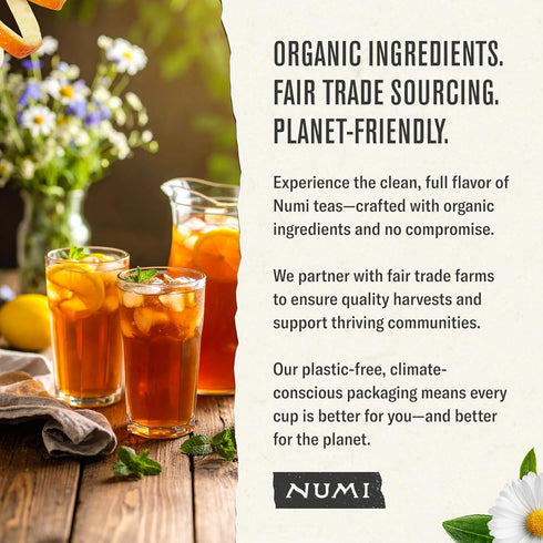 24 Count Numi Organic High Mountain Black Iced Tea, Gallon Pouch, Rich and Vibrant Full-Leaf Tea, Caffeinated
