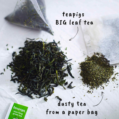 Teapigs Mao Feng Green Tea (1 Pack of 15 Tea Bags)