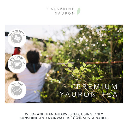 CatSpring Yaupon Lost Maples Medium Yaupon Box of Loose Leaf Yaupon, Naturally Caffeinated, 2-Ounce
