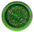 Country 11 oz. Braswell's Classic Green Pepper Jelly