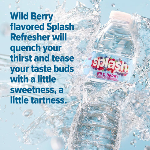 6-Pack, 16.9 Oz SPLASH REFRESHER Flavored Water Bottles, Wild Berry Flavor - Fl - Refreshing Flavored Bottled Water