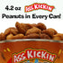 ASS KICKIN' Chipotle Honey Roasted Spicy Hot Peanuts - 4.2 Oz, Ultimate Spicy Gourmet Gift Peanuts