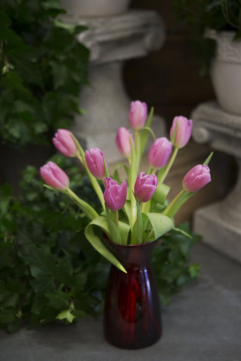 Blooms2Door 10 PRIME NEXT DAY DELIVERY - Fall Collection - Bouquet of Pink Tulips (Farm-Fresh) with Vase.Gift