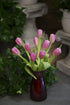 Blooms2Door 10 PRIME NEXT DAY DELIVERY - Fall Collection - Bouquet of Pink Tulips (Farm-Fresh) with Vase.Gift