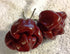 10 Jamaican, Hot Chocolate , Scotch Bonnet , Chili Pepper (Capsicum Chinense) Seeds