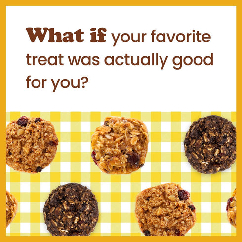 8 1 Pack Alyssas Vegan Chocobites Gluten Free Cookies, Healthy Snacks from the Bakery Dairy Free, Sugar Free, Low Carb