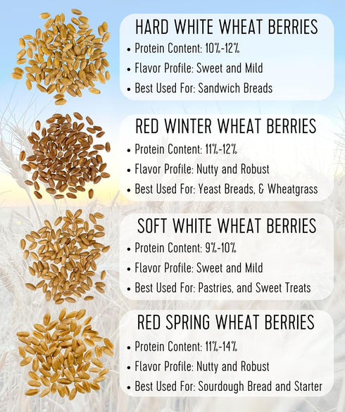 10 LBS Palouse Brand Certified Glyphosate Residue Free Soft White Wheat Berries | | Family Farmed in Washington State |