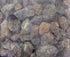 Brewer's Best Brewers's Best Candi Sugar (Dark Belgian)
