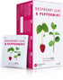 Nutra Tea - Raspberry Leaf & Peppermint Tea, Herbal Tea for Pregnancy & Expectant Mothers - 40 Tea Bags (2 Pack)