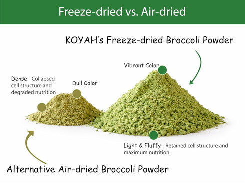 (1 1/4 30 KOYAH - Organic USA Broccoli Powder Scoop Equivalent to Cup Fresh): Scoops, Freeze-dried, Whole-Vegetable