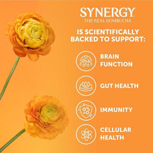 16 oz Immune SYNERGY The Real Kombucha - Gingerade - fl Bottle - Raw Probiotic Drink for Gut Health and Support