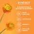 16 oz Immune SYNERGY The Real Kombucha - Gingerade - fl Bottle - Raw Probiotic Drink for Gut Health and Support