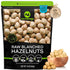 NUT CRAVINGS - Raw Blanched Hazelnuts Filberts - Unsalted, Shelled, (16oz -