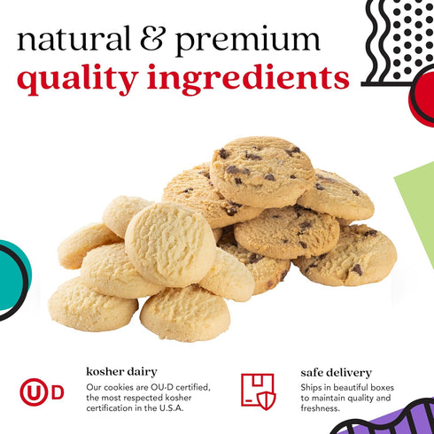 David's Cookies Happy Birthday Gift Sampler Tin Crunchy Gourmet Cookies Bakery Snack Gift for Birthdays, Celebrations
