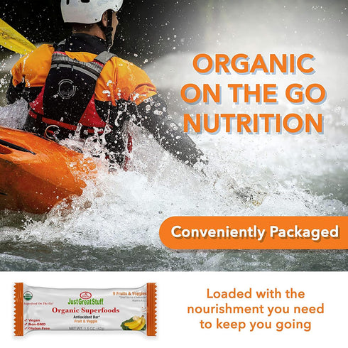 12 Pack Just Great Stuff Organic Protein Bars, Superfood Fruit and Vegetable Bars, Gluten Free, Vegan, Non GMO, Snacks