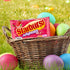 Starburst 14oz, 12/CS Red Fruit-Flavored Jelly Beans Easter Candy, Jellybeans for Easter Basket Stuffers, Eggs